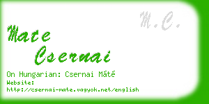 mate csernai business card