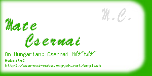 mate csernai business card